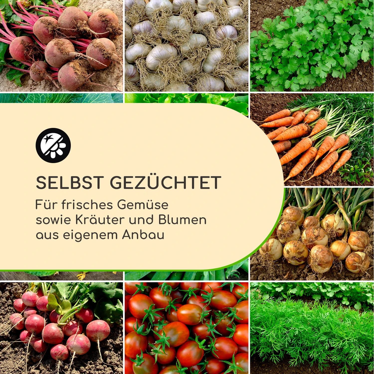 Highgrow Deluxe Hochbeet 100 X 76 X 100 Cm Verzinkter Stahl - Image 3