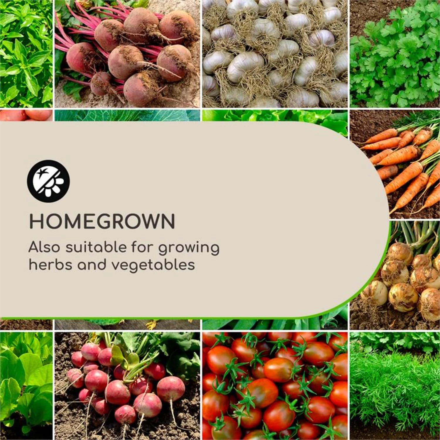 Solid Grow Rust Pflanzgefäß 80 X 38 X 38 Cm Fibreclay Rostfarben - Image 3