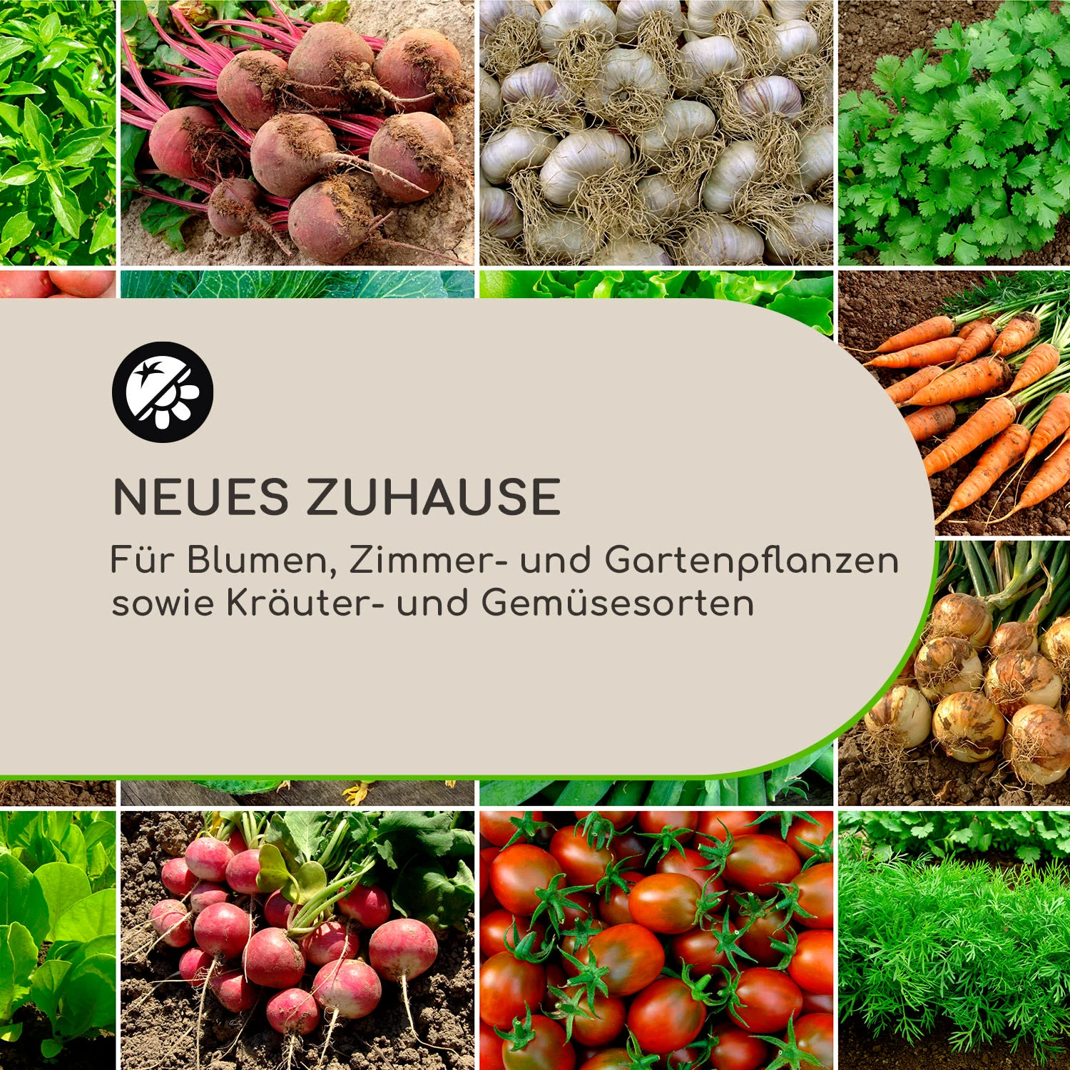 Winegrow Pflanzgefäß 52,5 X 31,5 Cm (ØxH) Leicht Fibreclay Grau - Image 3