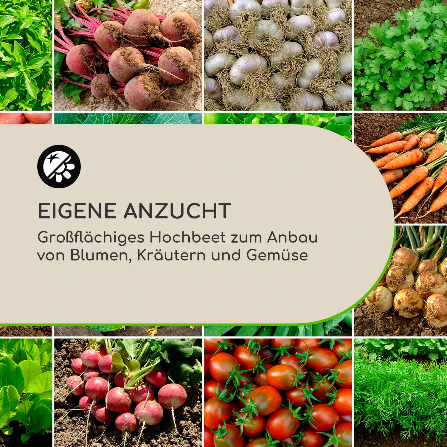 High Grow Straight Hochbeet 120x60x60cm 432l Stahl - Image 4