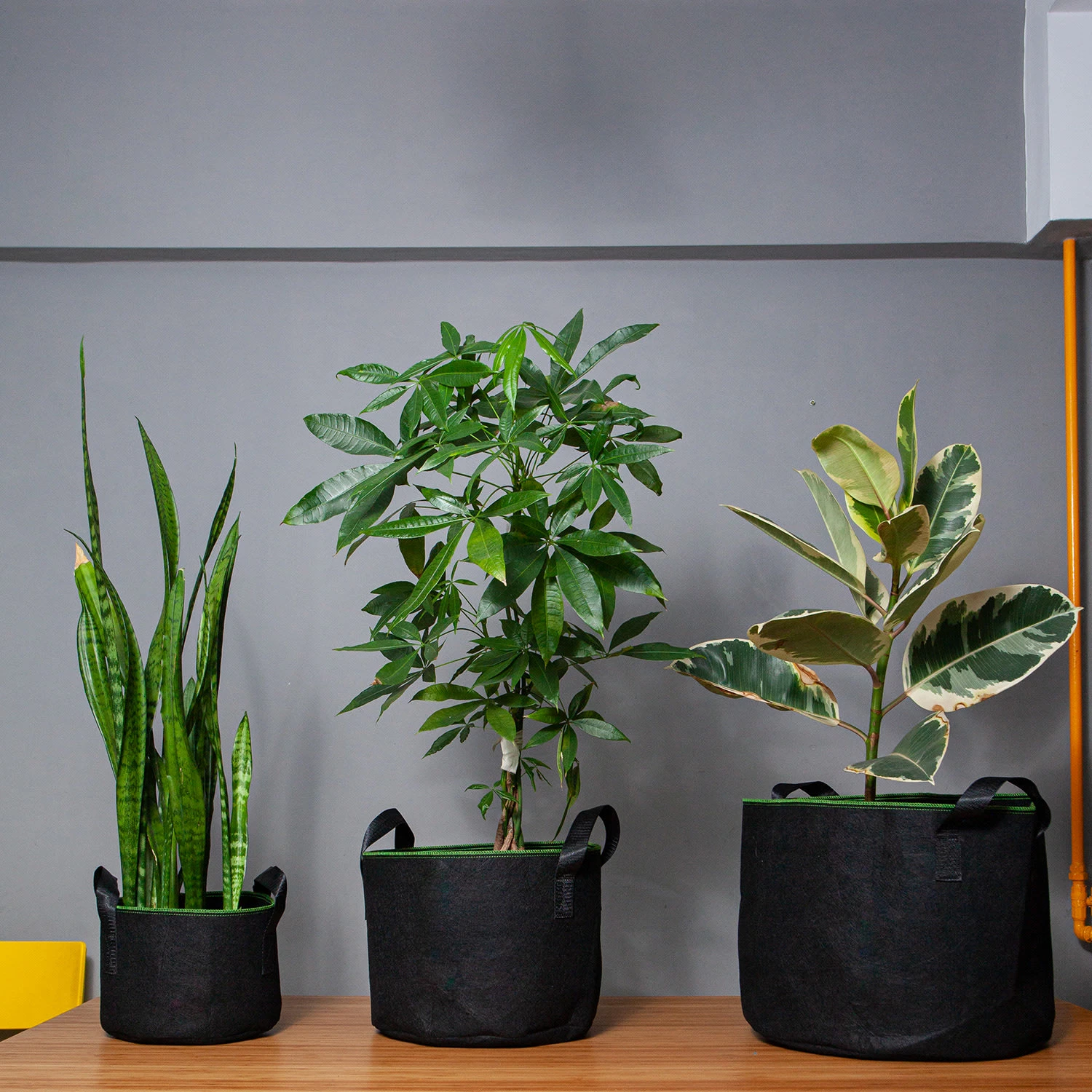 Pflanzsack Set 5 Stück 60 Liter Vlies Mit Henkeln - Image 2