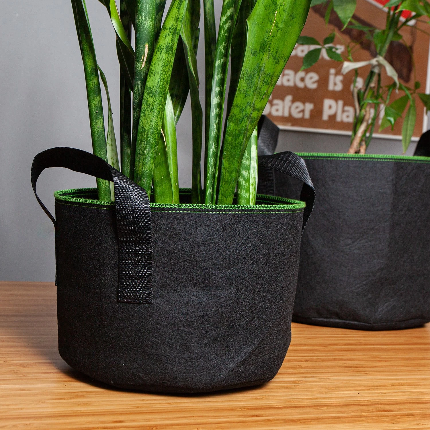 Pflanzsack Set 5 Stück 60 Liter Vlies Mit Henkeln - Image 4